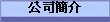 公司簡介